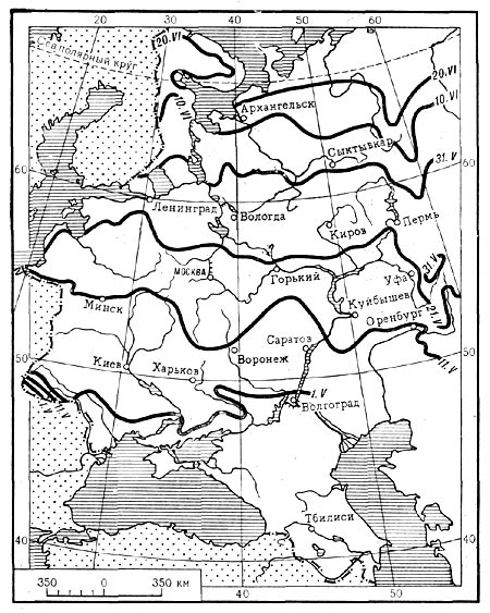 Карта 3. Сроки зацветания черёмухи в Европейской части СССР.